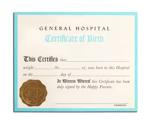 Professional Birth Certificate Translation Services in Singapore